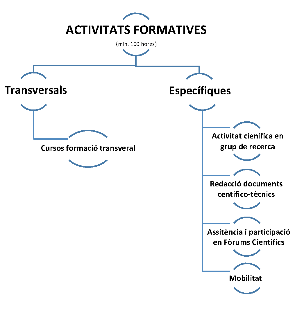Actitivats formatives transversals i activitats formatives específiques