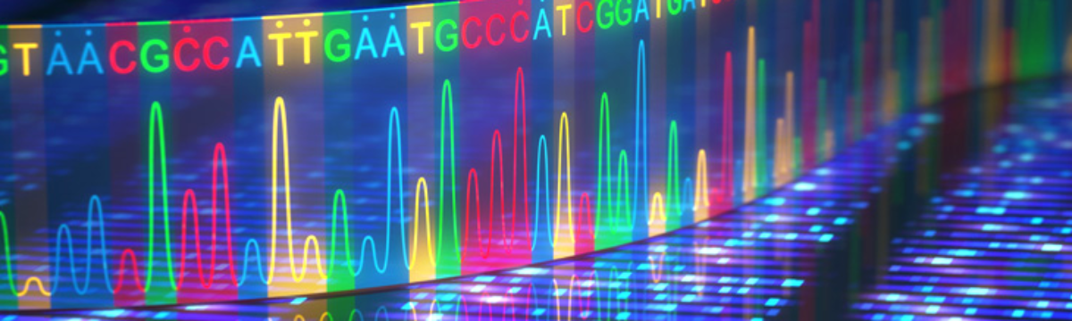 PhD Programme in Bioinformatics