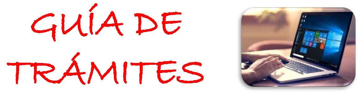 Enlace a la guía de trámites